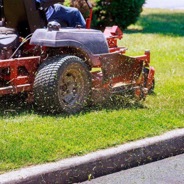 Lawn and grass services in St. Petersburg, FL Lawn and grass services in St. Petersburg, FL